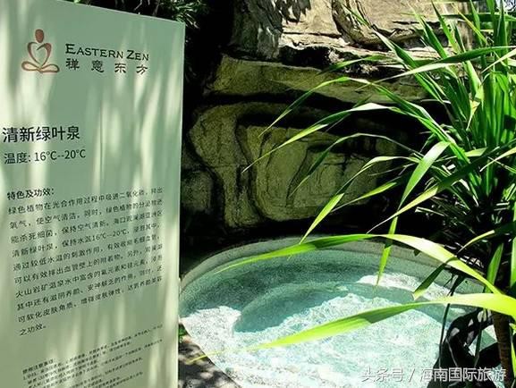 入住观园相约温泉池初夏养生正当时